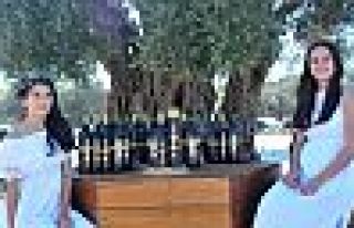 Dünyanın en pahalı zeytinyağı satıldı