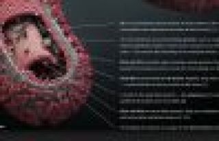 Ebola virüsüne karşı 3 aşı üretiliyor!