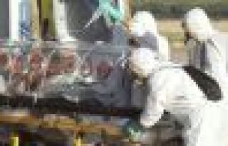 Ebolada ağır bilanço : 10 bin kişi yaşamını...