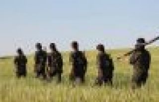 Enbar bölgesinde 50 DAIŞ çetesi öldürüldü