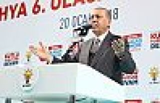 Erdoğan: Afrin operasyonu fiilen başladı