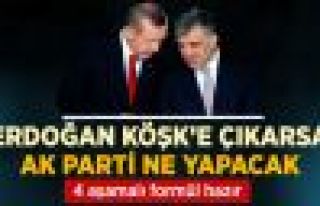 Erdoğan Cumhurbaşkanı Olursa, AKP'nin 4 Aşamalı...
