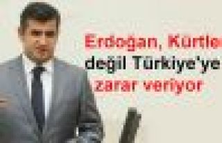 Zozani: 'Erdoğan, Kürtlere değil Türkiye'ye zarar...