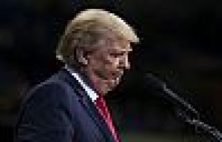 'Erdoğan Rakka'yı  Beyaz Saray'da öğrenecek'