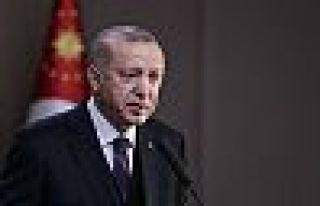 Erdoğan: Termik santrallerde yeniden ihale kaçınılmaz