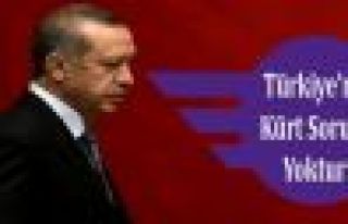 Erdoğan: 'Türkiye'nin Kürt sorunu artık yoktur'