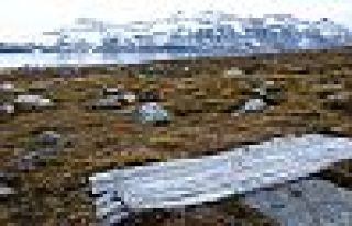 Eriyen buzullar tehlikeli hastalıklara gebe