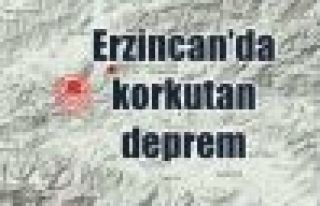 Erzincan'da 4,1 şiddetinde deprem