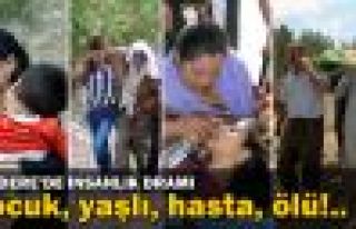 Ezidilerin yollardaki dramı devam ediyor 