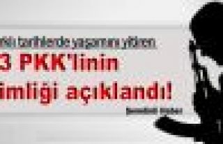 Yaşamını yitiren 13 PKK'linin kimliği açıklandı!