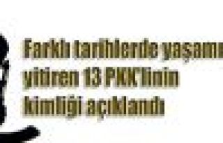 Yaşamını yitiren 13 PKK'linin kimliği açıklandı