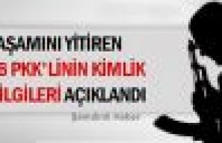 Yaşamını yitiren 26 PKK'linin kimlikleri açıklandı