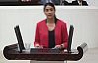 Feleknas Uca: Türkiye Ezidi katliamını soykırım...