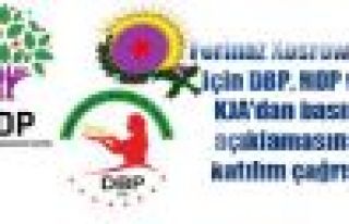 Şemdinli DBP, HDP ve KJA'dan basın açıklamasına...