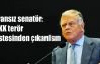 Fransız senatör: PKK terör listesinden çıkarılsın