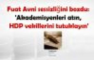 Fuat Avni: 'Akademisyenleri atın, HDP vekillerini...