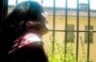 Füsun Erdoğan için Karar Bekleniyor