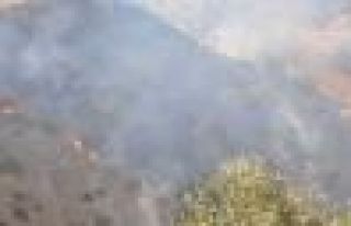 Gabar Dağı'nda askerin top atışıyla yangın çıktı
