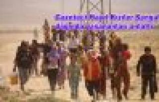 Gazeteci Kızıler Şengal dağında yaşananları...