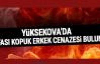 Yüksekova'da kafası kopuk erkek cenazesi bulundu