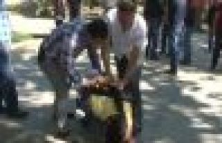 Gezi Parkı'nda bir gazeteci tokatlanarak gözaltına...