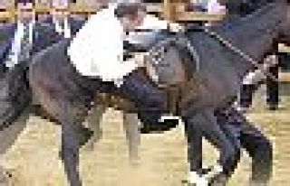 Gizli tanık Zaman: Erdoğan'ı attan düşürerek...