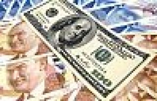 Goldman Sachs: TL, 12 ayda yüzde 15 düşebilir