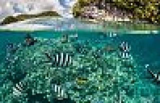 Güneş kremine ilk yasak