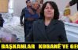 Hakkari Belediyeleri Eş Başkanları Kobani'ye geçti