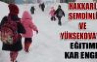 Hakkari, Şemdinli ve Yüksekova'da eğitime kar engeli