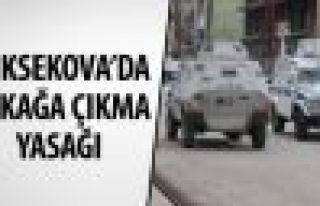 Yüksekova'da sokağa çıkma yasağı ilan edildi