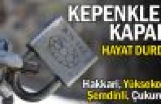 Hakkari ve ilçelerinde kepenk kapatma eylemi sürüyor