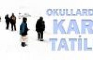 Hakkari ve ilçelerinde okullar yarın da tatil