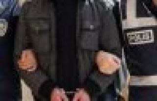 Yüksekova ve Muş'ta 13 kişi gözaltına alındı