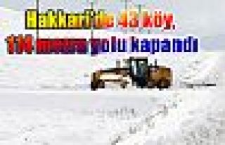 Hakkari'de 43 köy, 114 mezra yolu kapandı