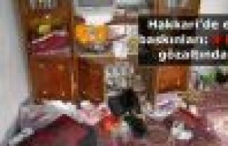 Hakkari'de 9 kişi gözaltına alındı