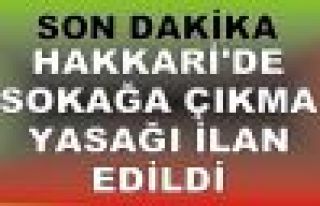 Hakkari'de bir kişi öldü, sokağa çıkma yasağı...