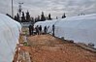 Halep’ten gelenler için Türkiye'de de kamp kuruluyor