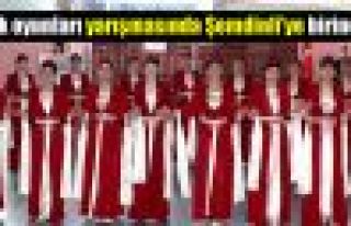 Halk oyunları yarışmasında Şemdinli'ye birincilik