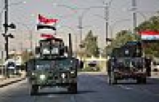 Haşdi Şabi, Şengal'e girdi