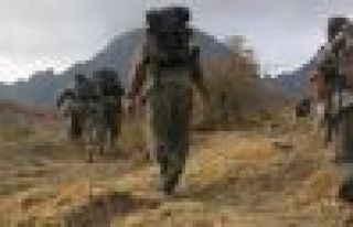 Hayatını kaybeden bir PKK'linin kimliği açıklandı