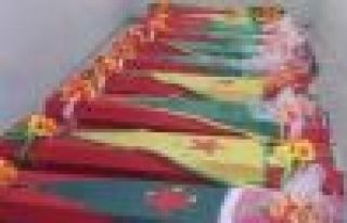 HDP, 13 cenazenin Türkiye'ye neden alınmadığı...