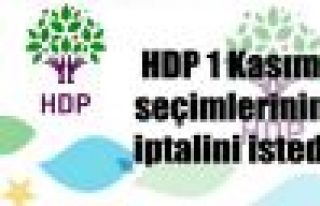 HDP 1 Kasım seçimlerinin iptalini istedi