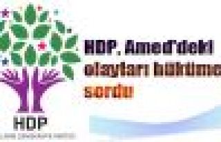 HDP, Amed'deki olayları hükümete sordu