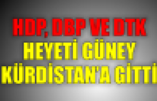 HDP, DBP ve DTK heyeti Federe Kürdistan'a gitti