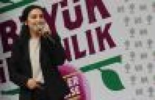 HDP Eş Genel Başkanı Yüksekdağ'dan Erdoğan'a...