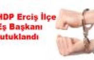 HDP Erciş İlçe Eş Başkanı tutuklandı