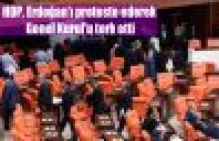 HDP, Erdoğan'ı protesto ederek Genel Kurul'u terk...