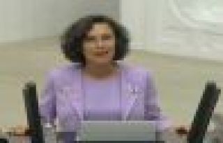 HDP göçmen kadınları ve kadın cinayetlerini sordu