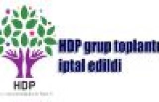 HDP grup toplantısı iptal edildi